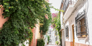 fira_fassaden_fassadenbegrünung_wandgebunden