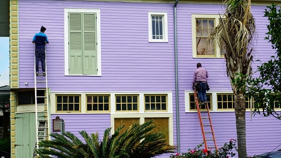 Zwei Männer auf Leitern streichen eine Hausfassade violett.